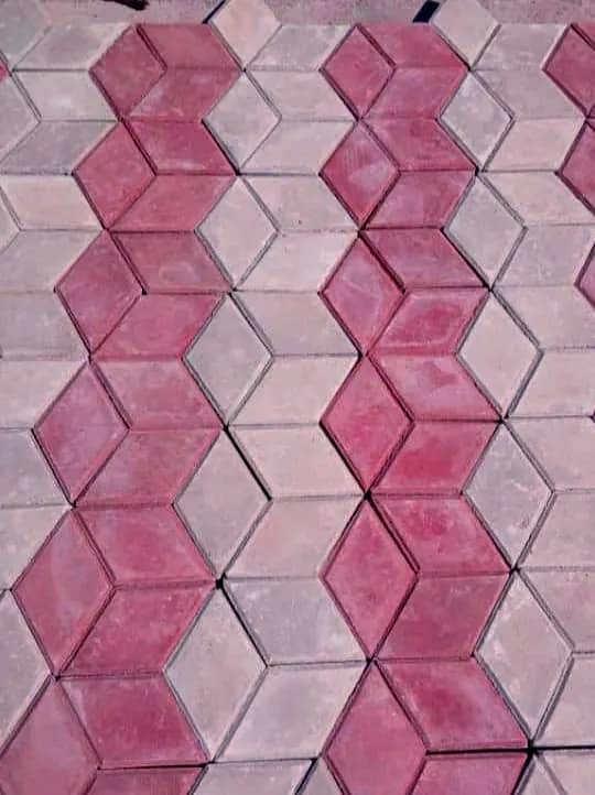 3D Hexagon Pavers